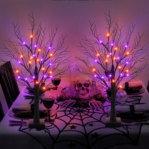 Mosoan tree next to ruler showing 24-inch height for easy scale and placement planning