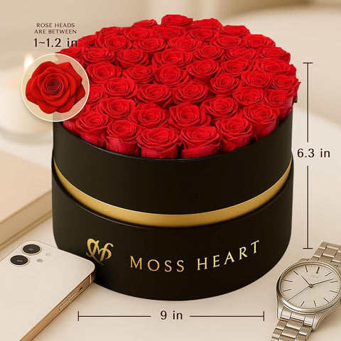 Moss Heart side profile showing box depth and compact display-friendly size benefit