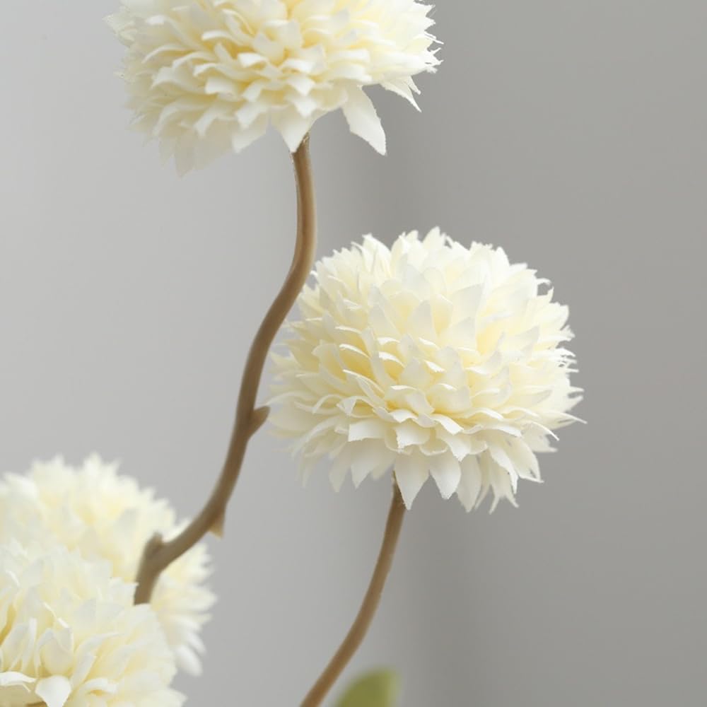 MSIUE mums next to a ruler showing 20-inch length for proper vase fit