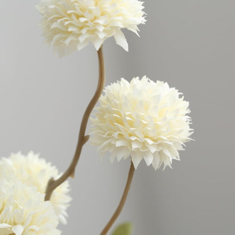 MSIUE mums next to a ruler showing 20-inch length for proper vase fit