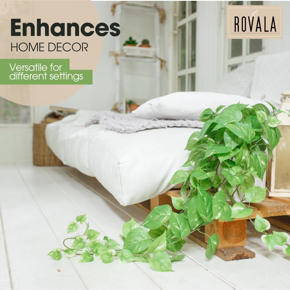 MY ROVALA hanging in macrame planter showing versatile display and instant greenery