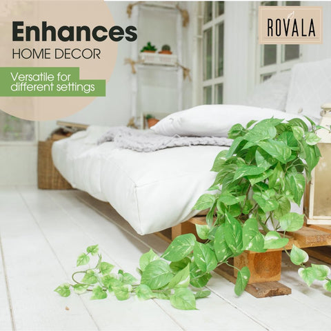 MY ROVALA hanging in macrame planter showing versatile display and instant greenery