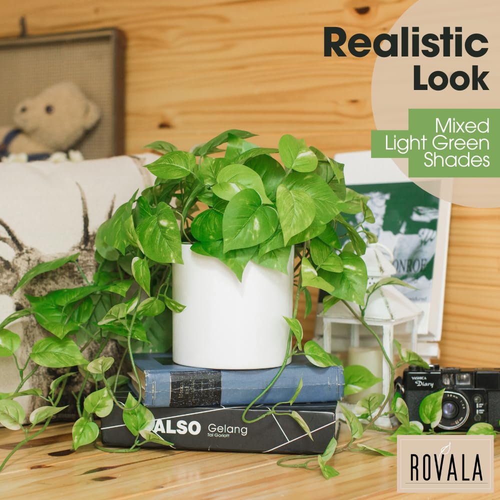 MY ROVALA top-down shot showing bushy base and flexible trailing vines for styling