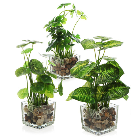 MyGift clear glass pots front view adds instant desk greenery
