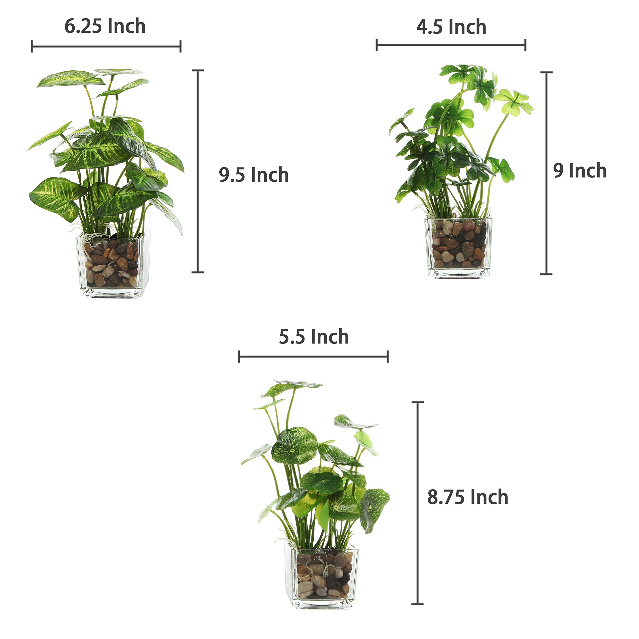 MyGift side view compares plant heights for easy placement