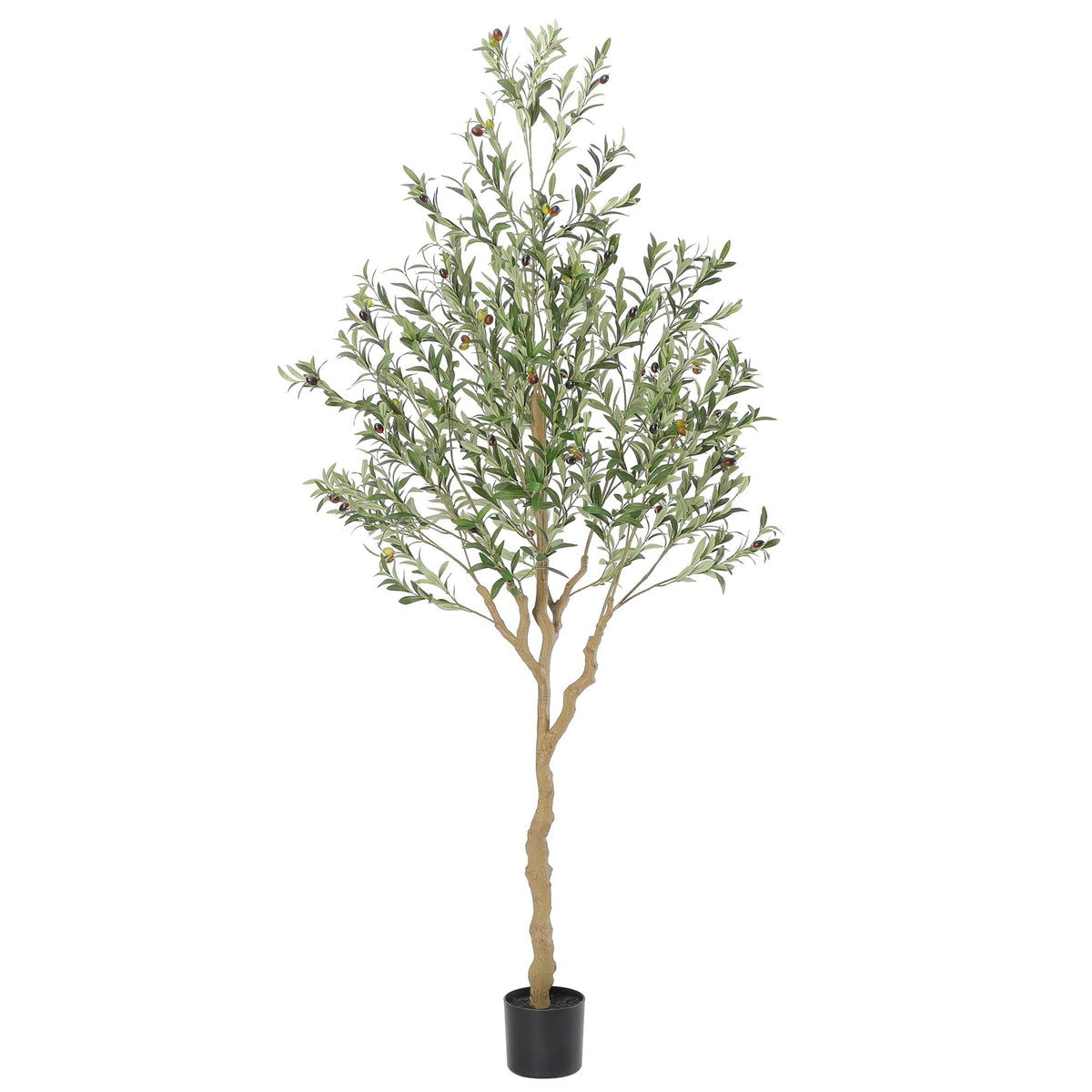 Nafresh front view in pot showing full-height decorative presence