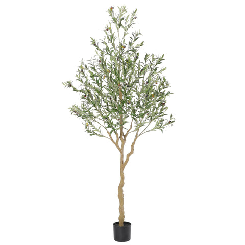 Nafresh front view in pot showing full-height decorative presence