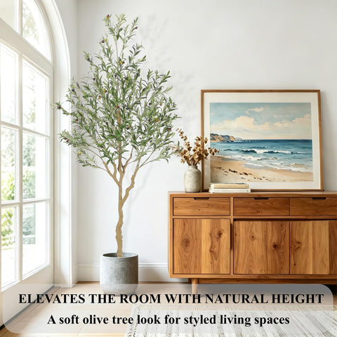 Nafresh in alternative decorative pot demonstrating styling flexibility
