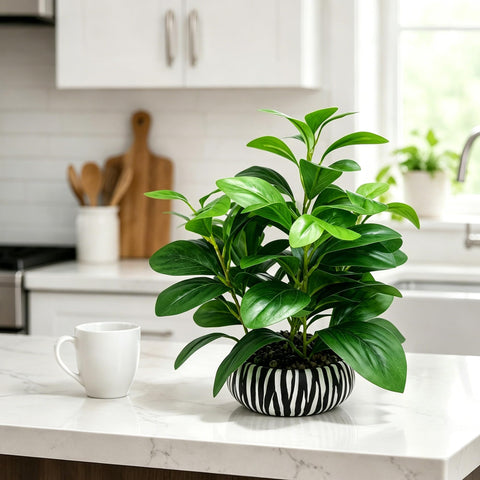 NASAMA on bathroom counter offering moisture‑safe greenery benefit