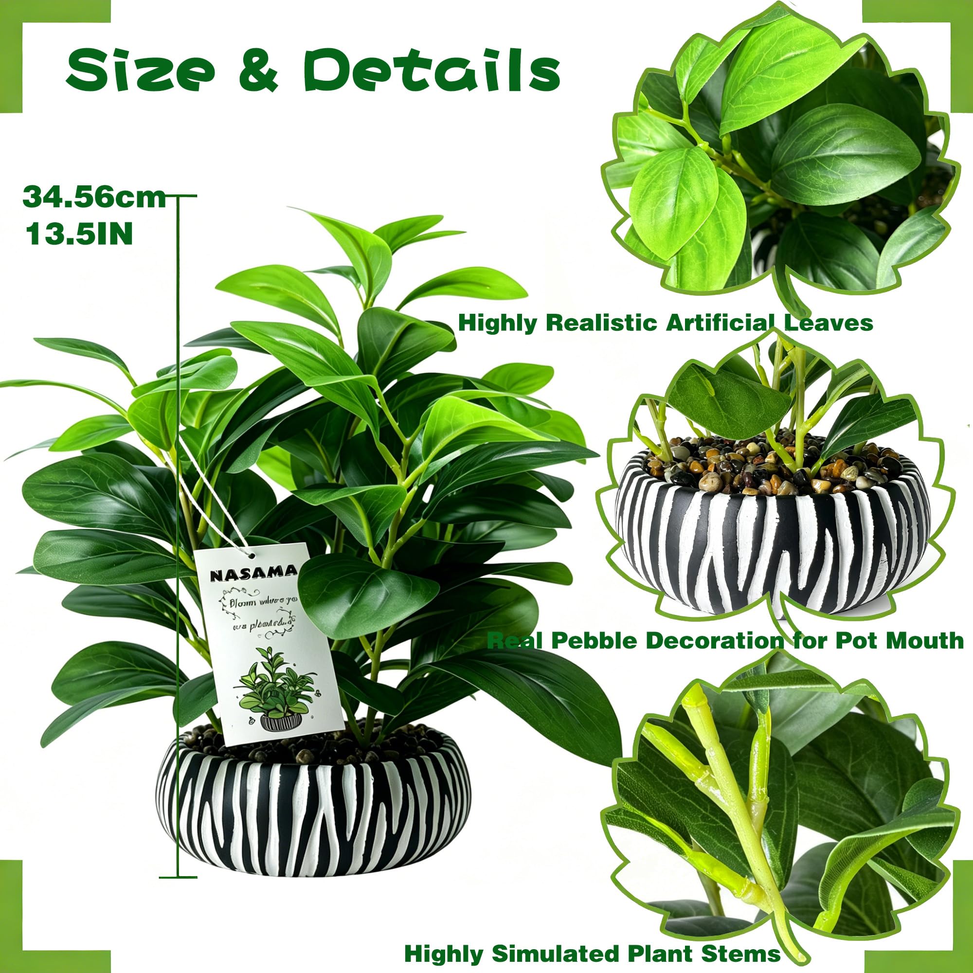 NASAMA closeup of leaf texture for realistic appearance benefit