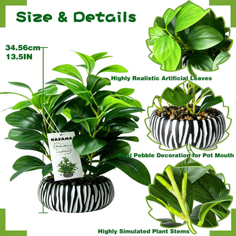 NASAMA closeup of leaf texture for realistic appearance benefit