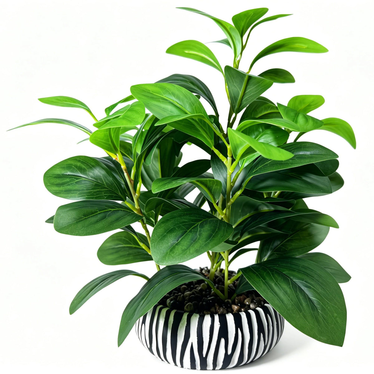 NASAMA front view showing modern vase and natural look benefit