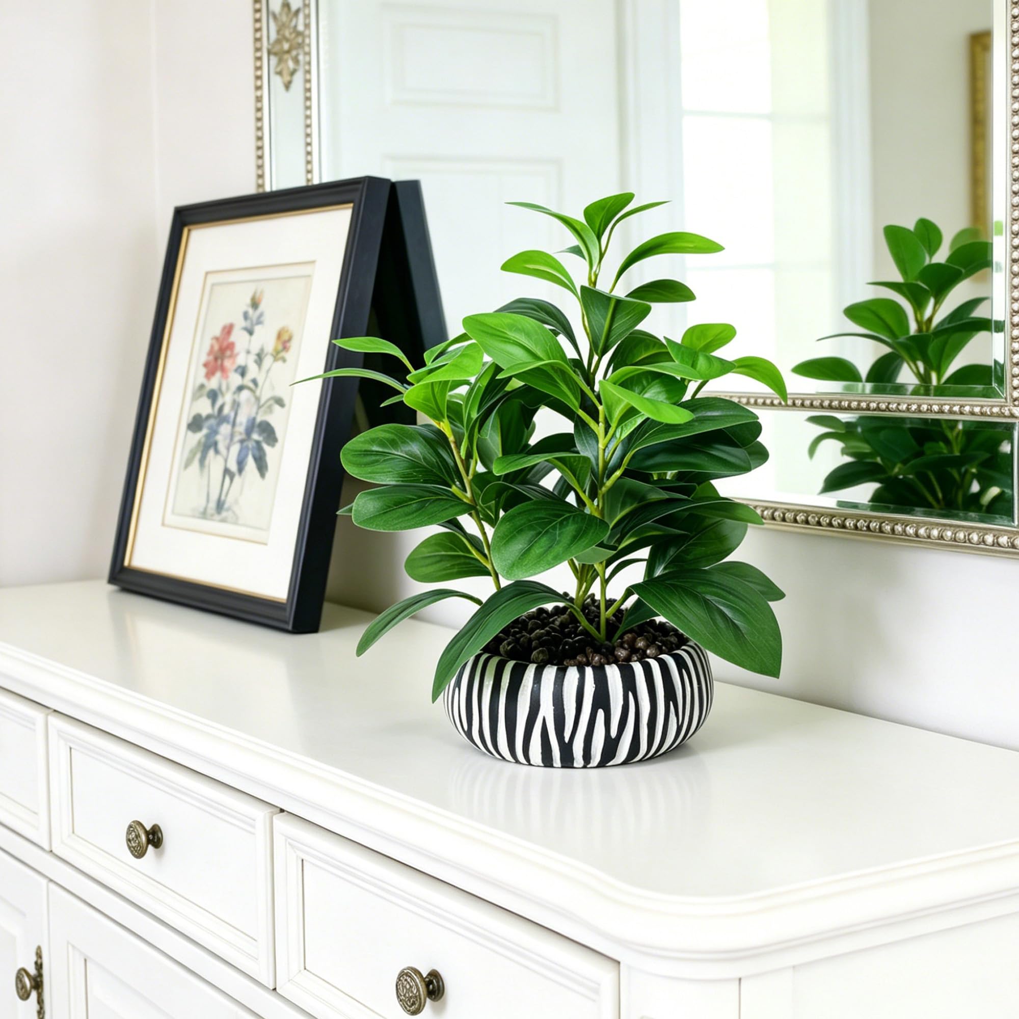 NASAMA top‑down foliage arrangement displaying full shape benefit