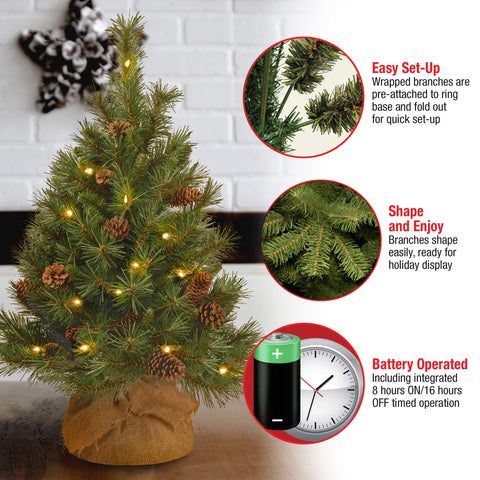 National Tree Company base and battery box showing sturdy stand and easy battery-powered lights benefit