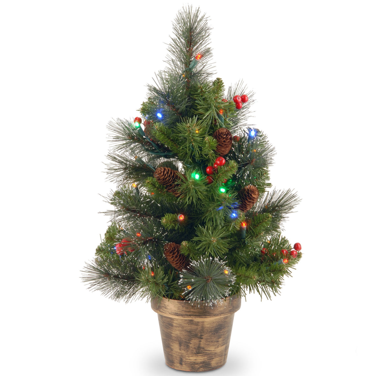 National Tree Company Crestwood Spruce front view showing compact, full silhouette benefit
