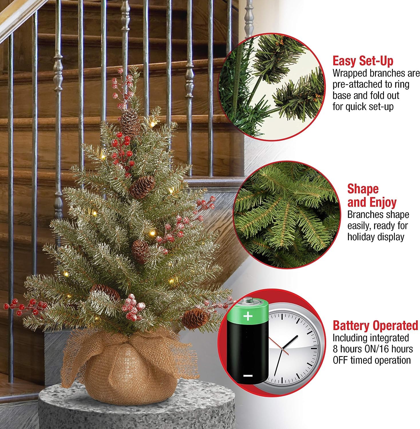 National Tree Company Dunhill Fir beside ruler showing scale and cloth bag base