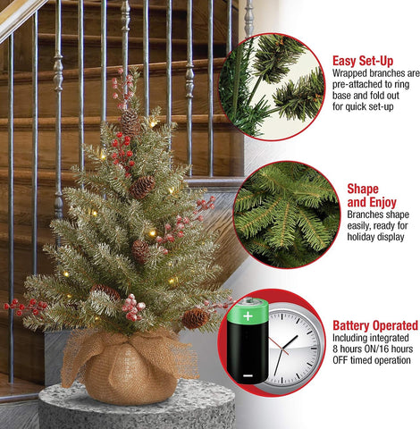 National Tree Company Dunhill Fir beside ruler showing scale and cloth bag base