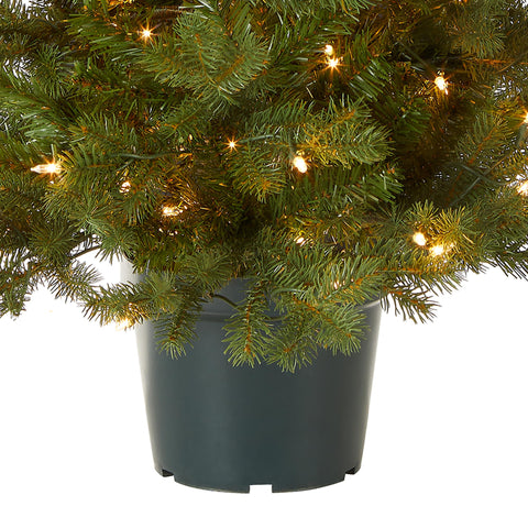 National Tree Company pre-lit branch detail showing 100 lights and dependable illumination