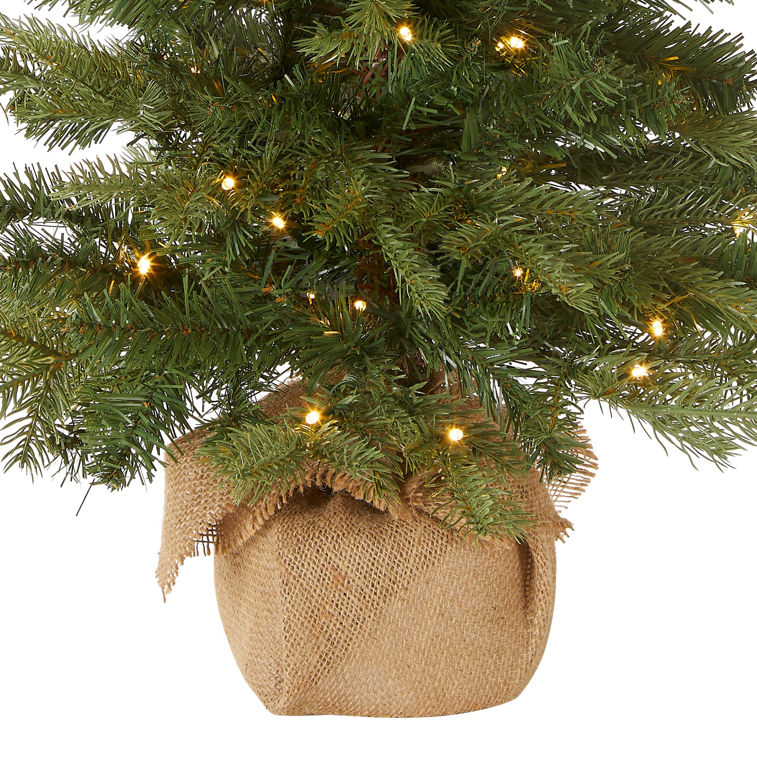 National Tree Company detail of warm white LEDs demonstrating even illumination