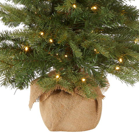 National Tree Company detail of warm white LEDs demonstrating even illumination