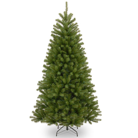 National Tree Company front view of 6ft North Valley Spruce showing full profile and balance
