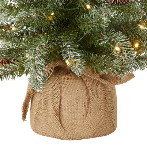 National Tree Company lit tree at night on tabletop, warm LED glow creates cozy ambiance