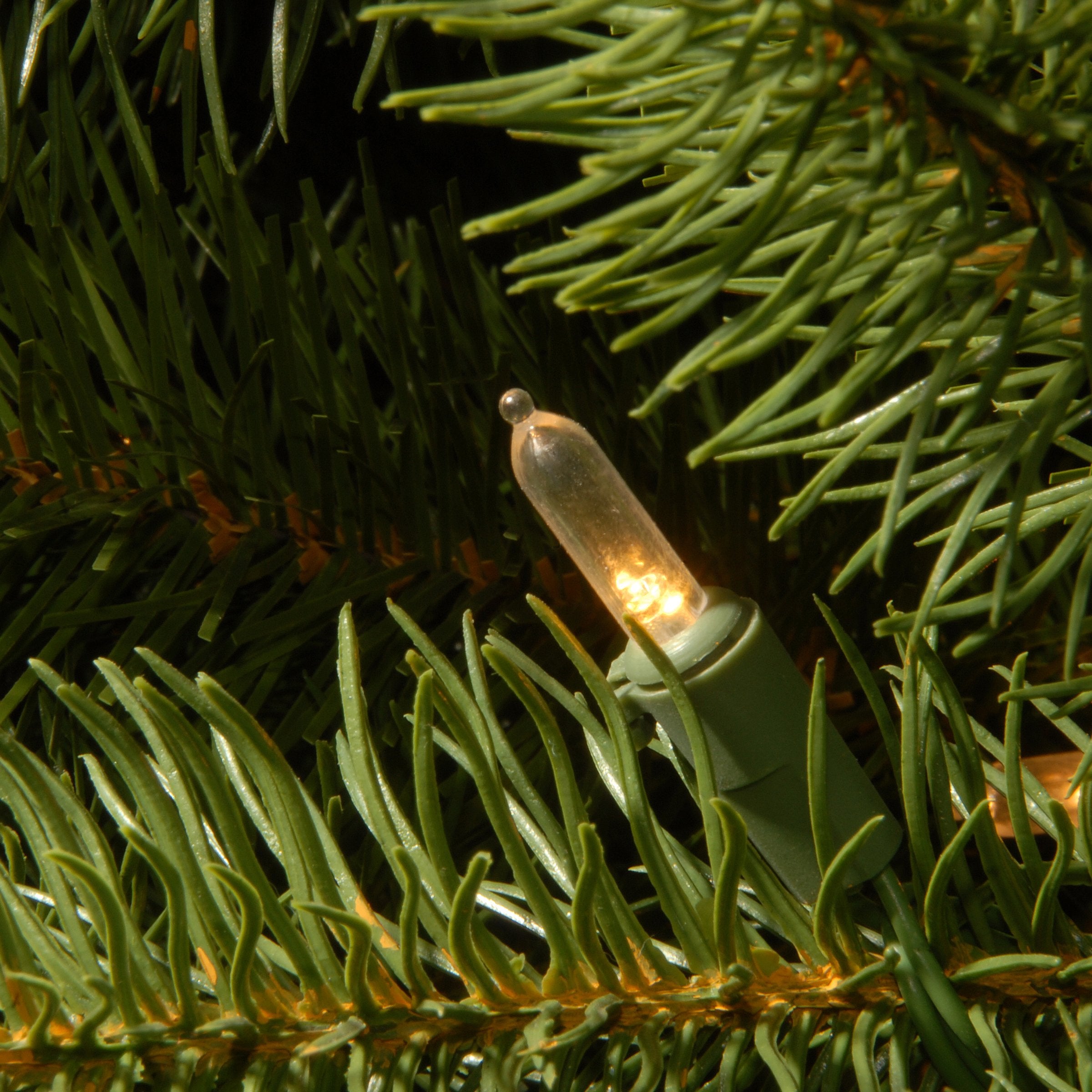 National Tree Company pre-strung white lights close-up showing consistent illumination benefit
