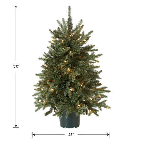 National Tree Company tree beside a chair for scale showing ideal size for small spaces