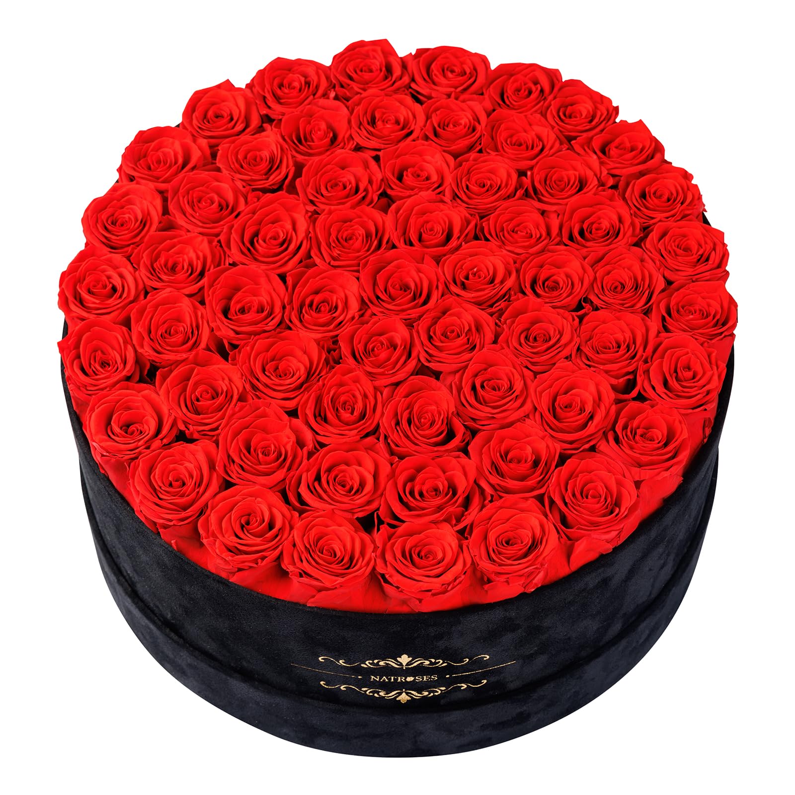 NATROSES front view of 60 red roses in black velvet box, luxurious presentation