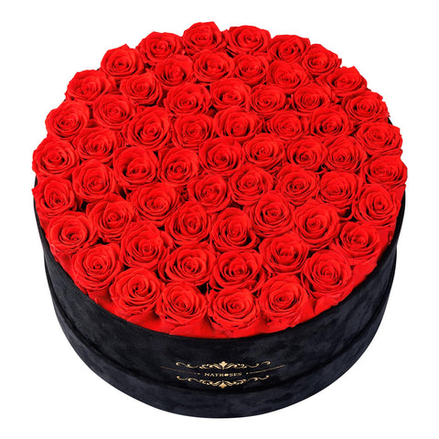 NATROSES front view of 60 red roses in black velvet box, luxurious presentation