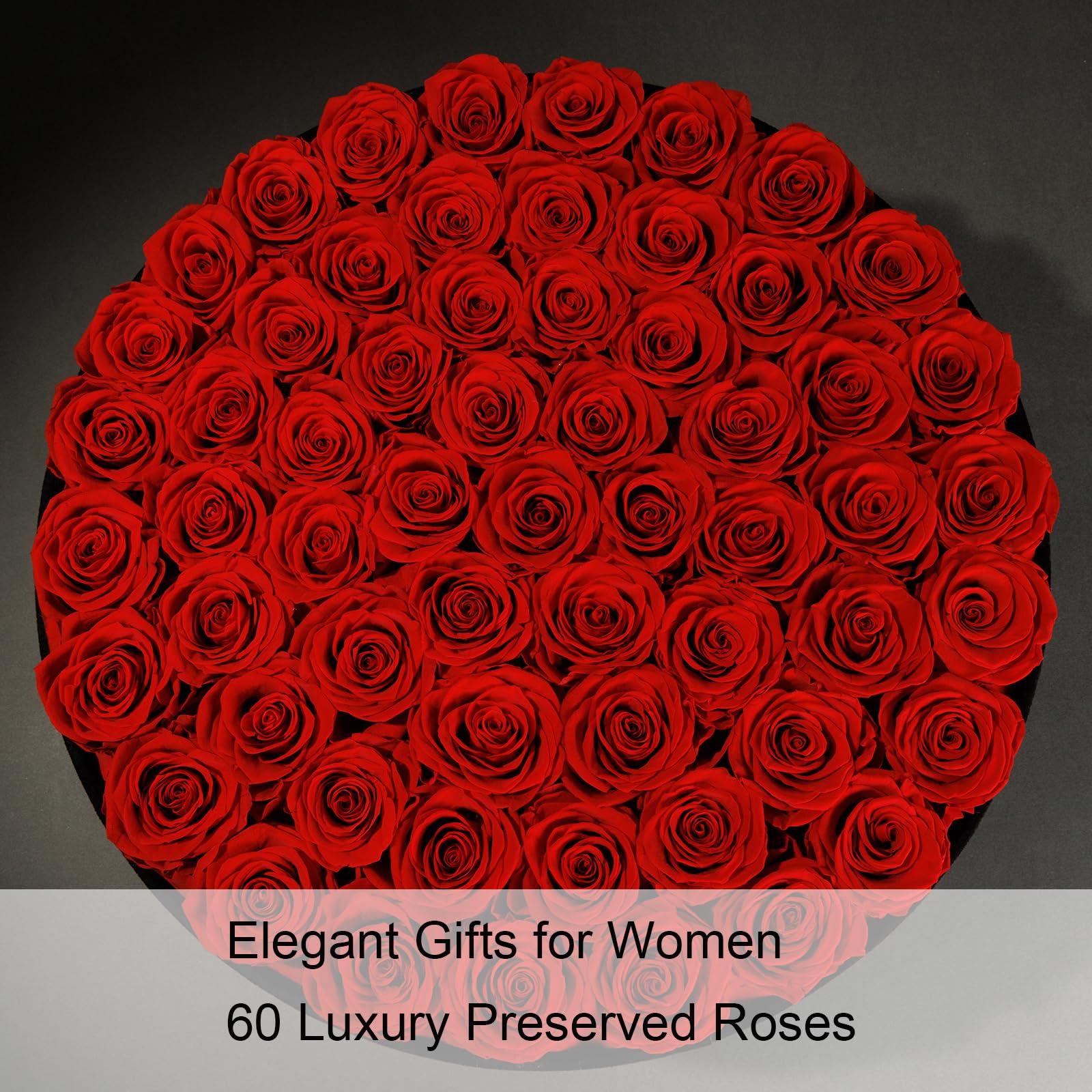 NATROSES roses held as gift demonstrating elegant unboxing and emotional impact