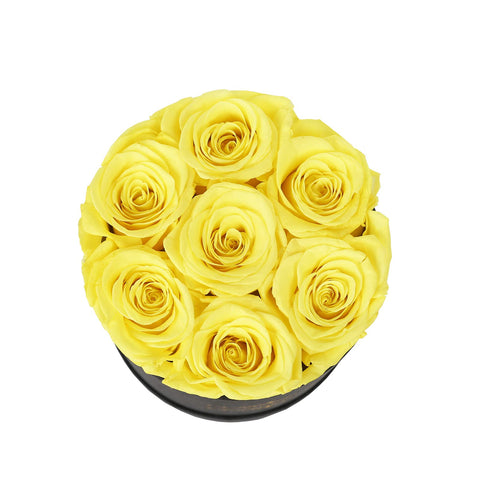 NATROSES product label and care insert highlighting care instructions and longevity benefits