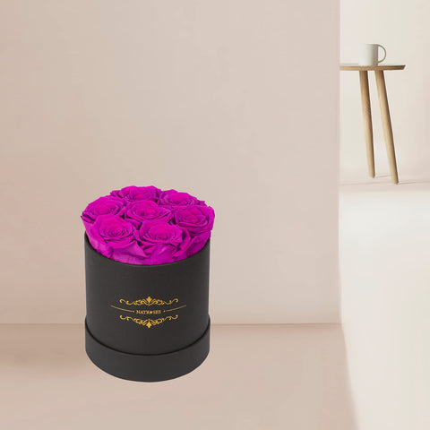 NATROSES rose next to ruler showing 2–2.5 inch size for reliable scale