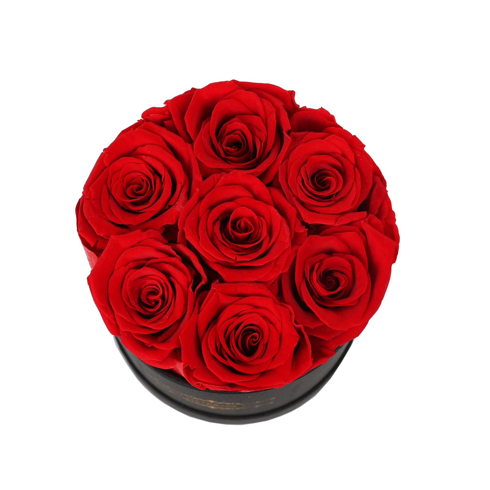 NATROSES product label and care insert highlighting storage and maintenance tips