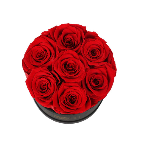 NATROSES product label and care insert highlighting storage and maintenance tips