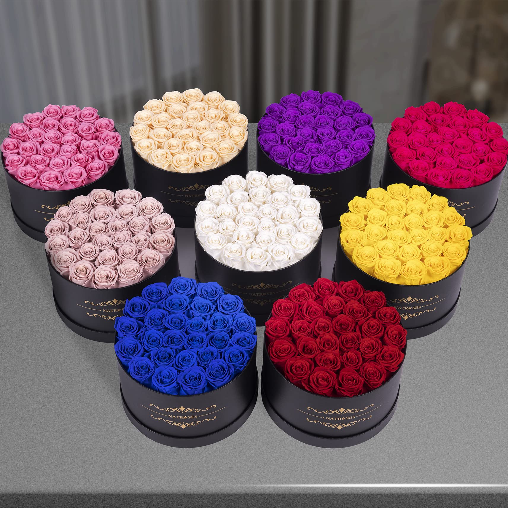 NATROSES next to a hand for scale showing compact size and display versatility