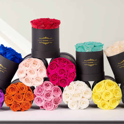 NATROSES roses held in hand for scale highlighting compact gift size