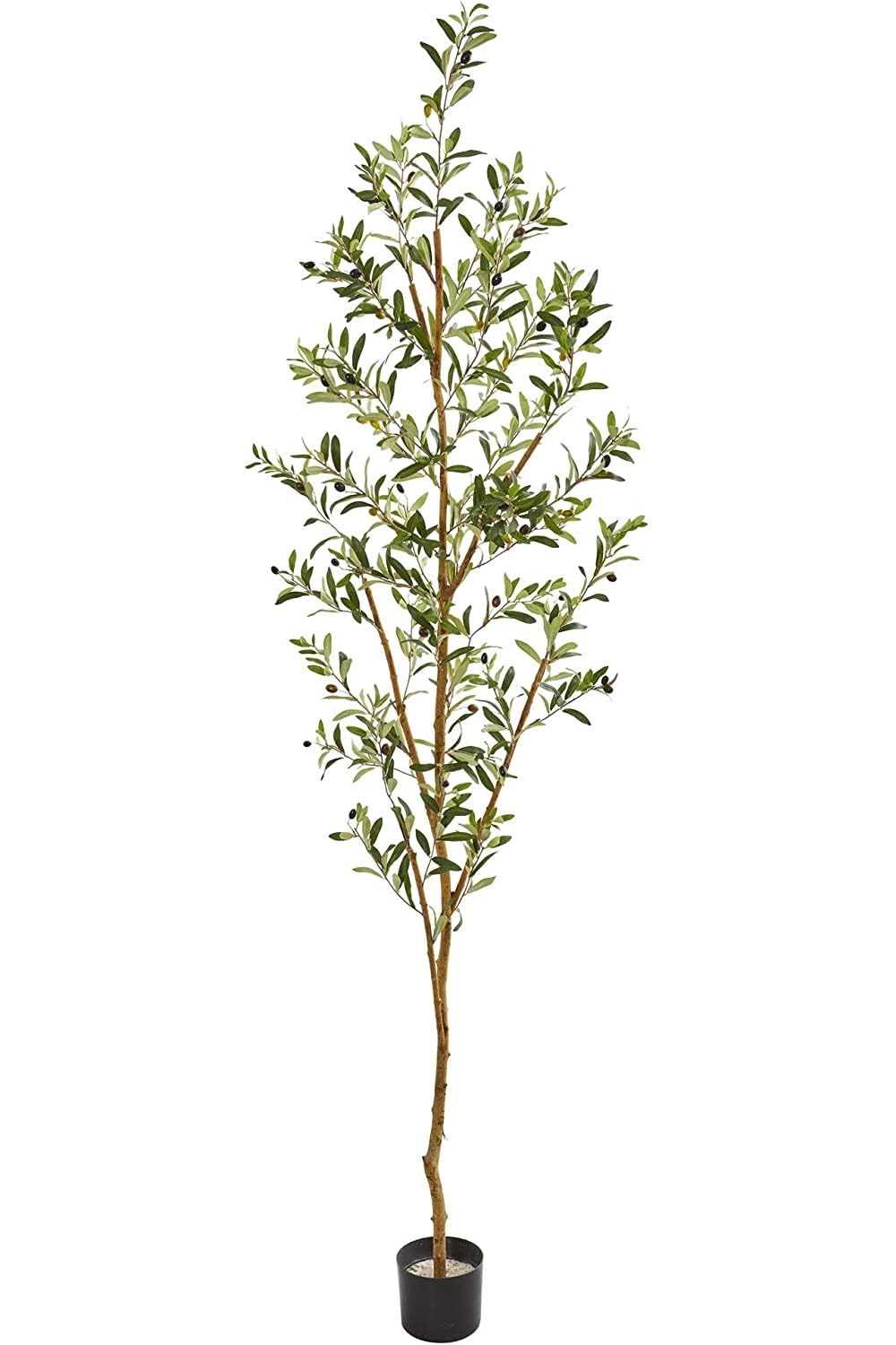 Nearly Natural full 82-inch olive tree showing height and elegant presence