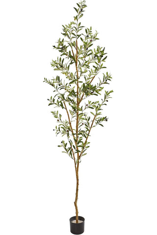 Nearly Natural full 82-inch olive tree showing height and elegant presence