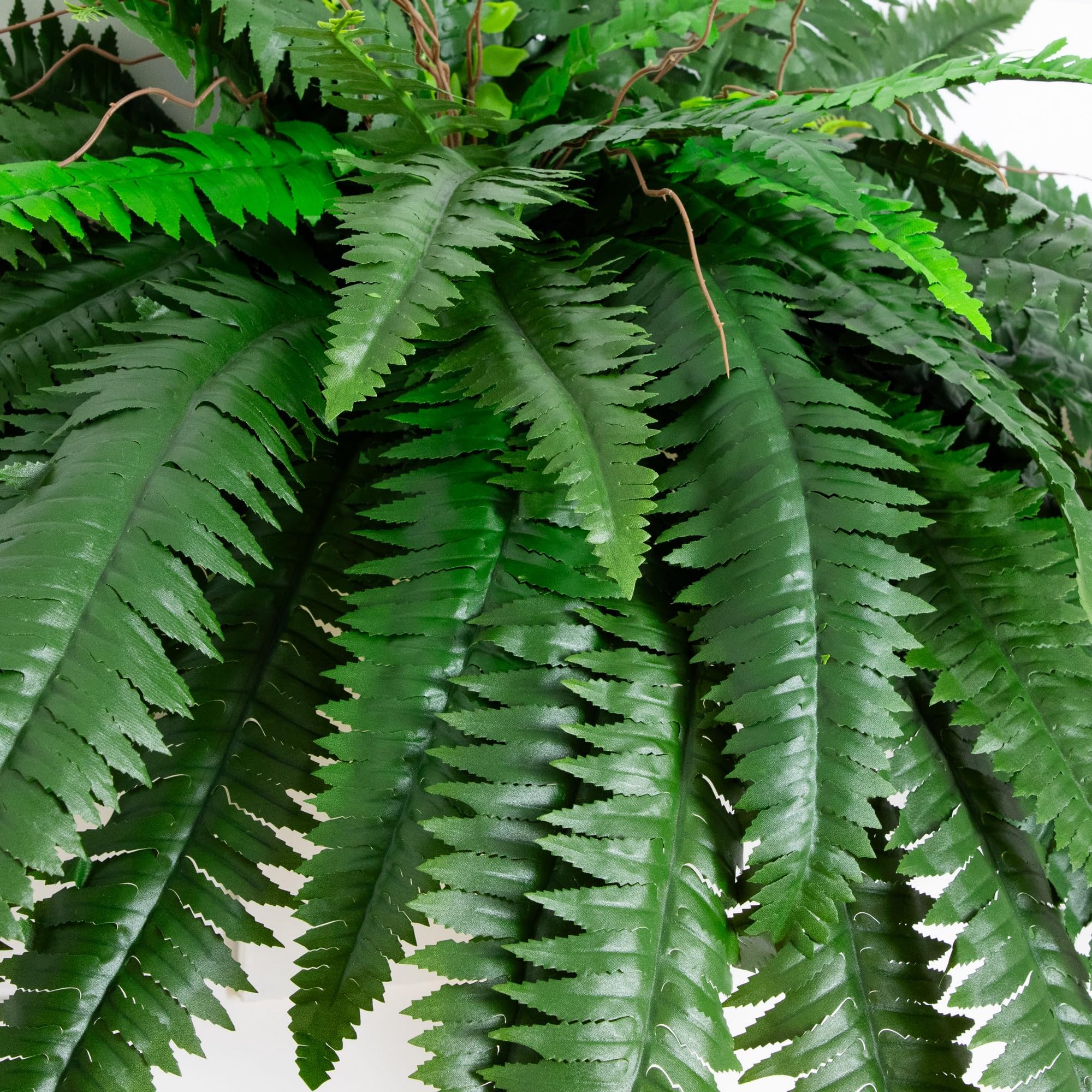 Nearly Natural close-up of fronds highlighting realistic texture and lifelike detail