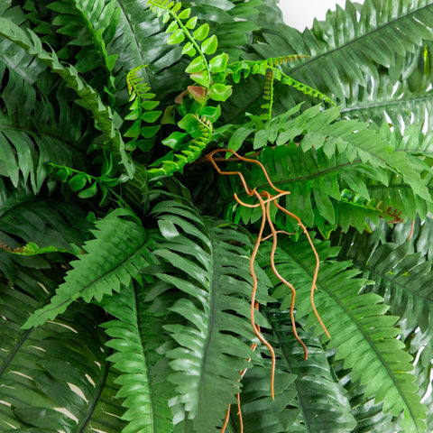 Nearly Natural close-up of fern fronds showing realistic texture and lifelike depth