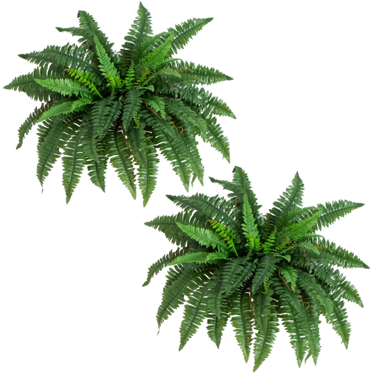 Nearly Natural front view of 40 inch Boston fern showing full cascading fronds and presence