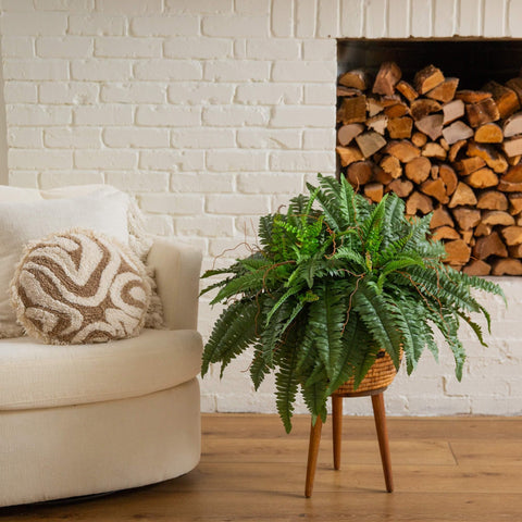 Nearly Natural fern in hanging planter showing graceful drape and space-saving display