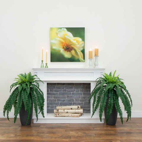 Nearly Natural beside a sofa showing scale and how it fills room corners effectively