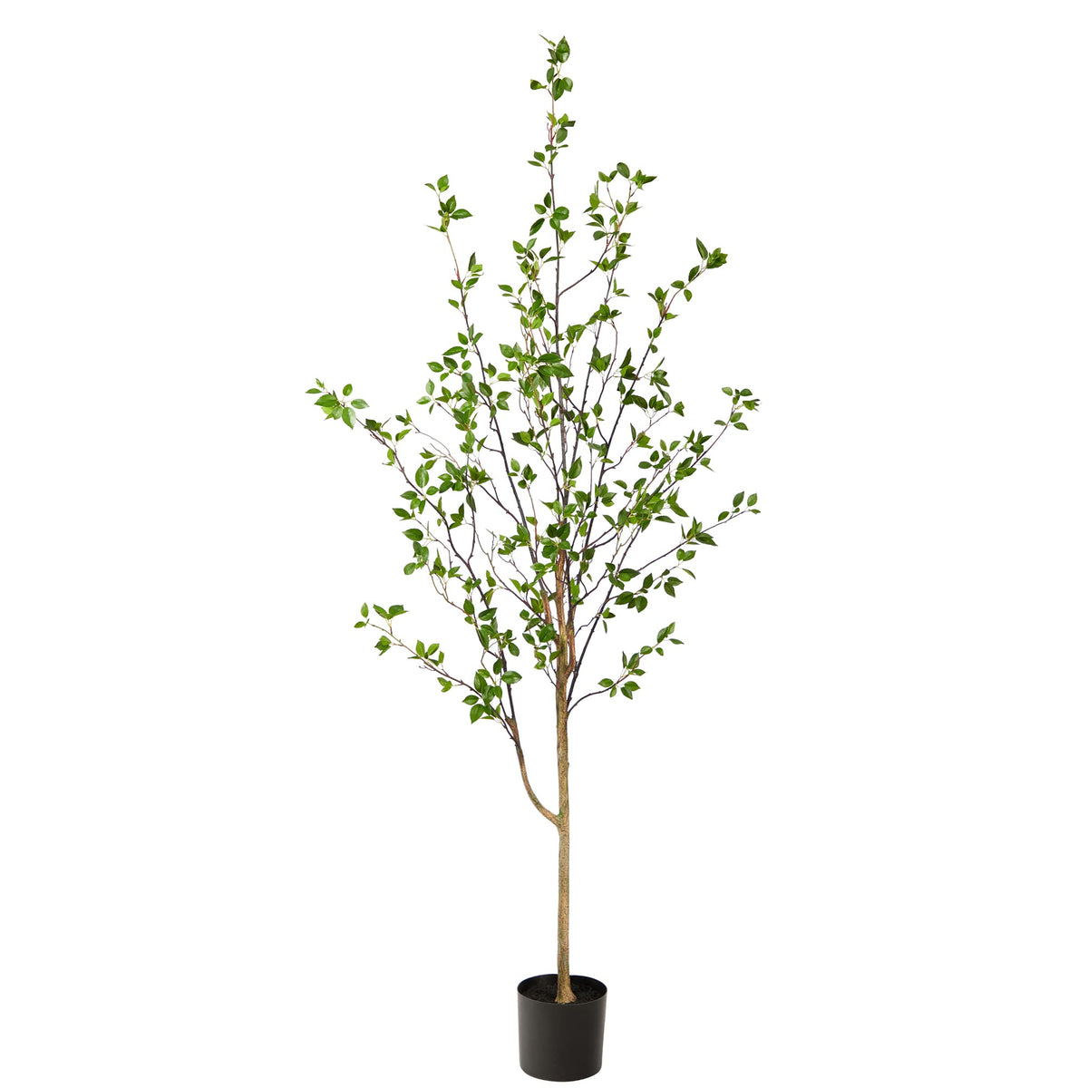 Nearly Natural front view of full 6.5 ft citrus tree showing elegant slim profile and instant greenery