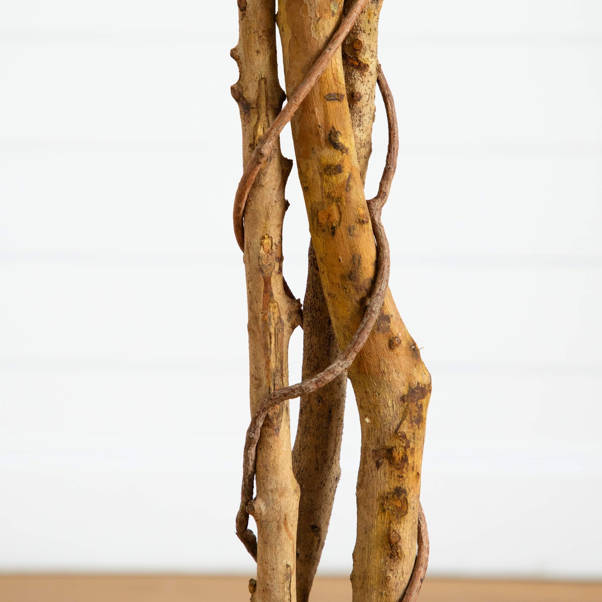 Nearly Natural hands adjusting branches to show customizable silhouette benefit