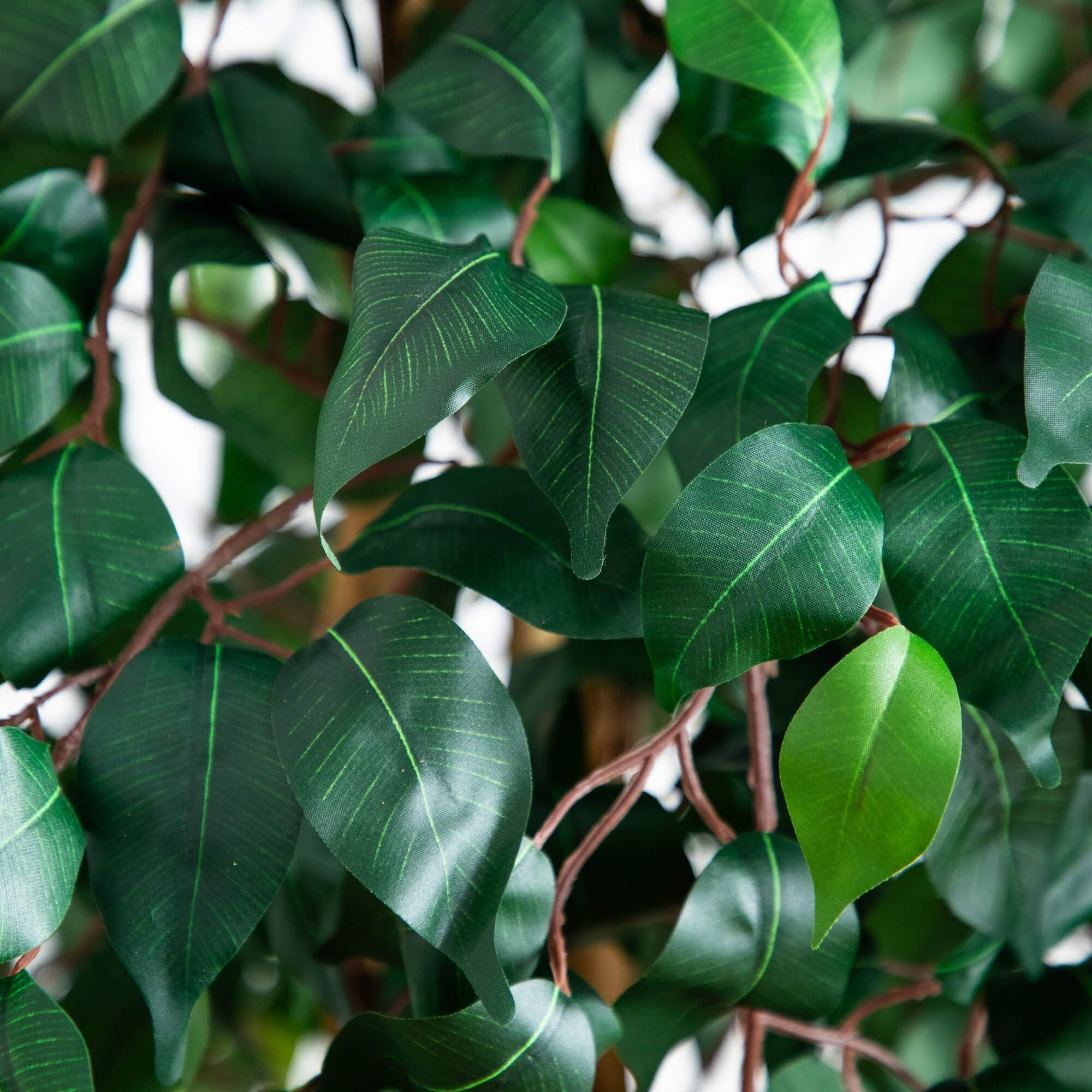 Nearly Natural ficus in entryway showcasing welcoming decor and low-maintenance benefit