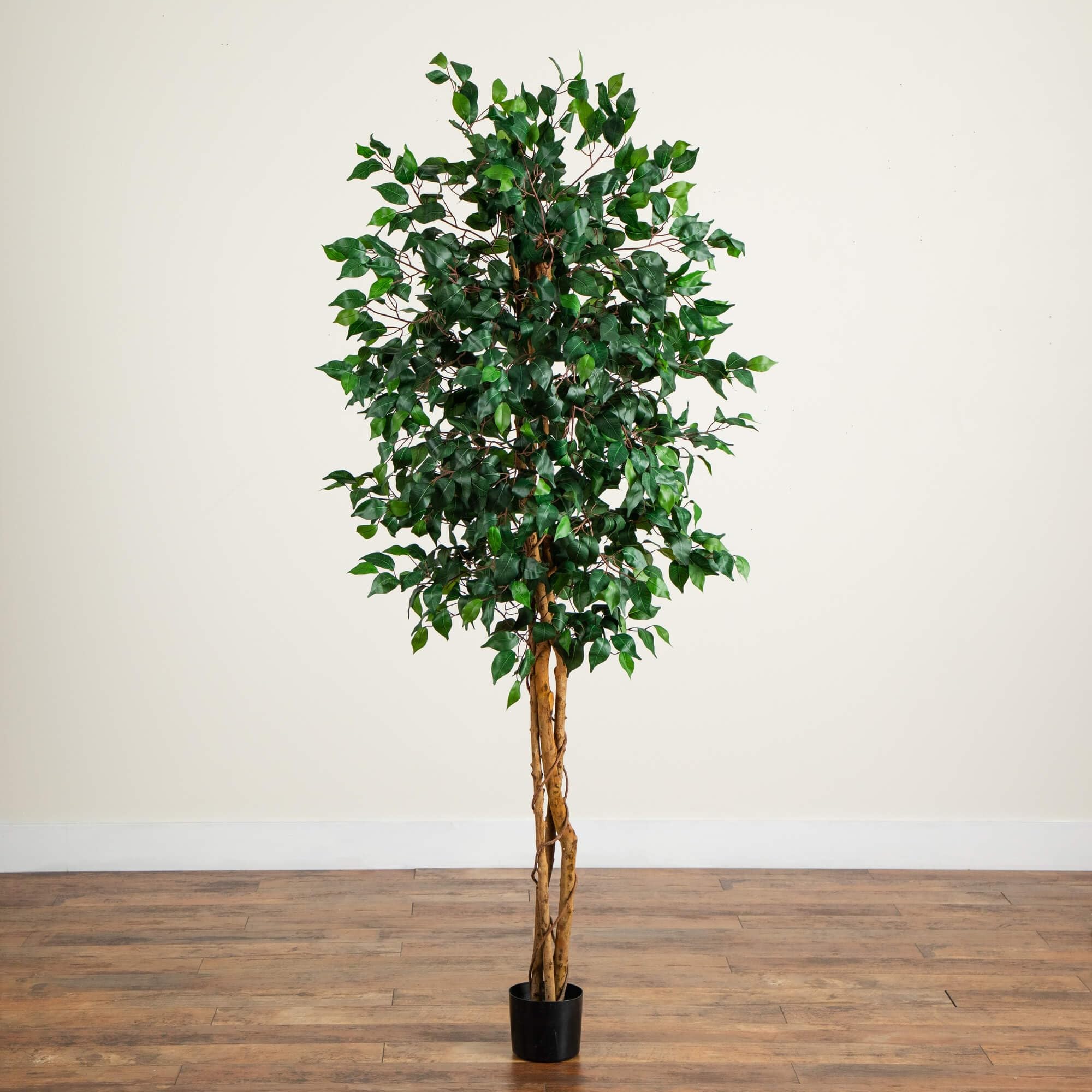 Nearly Natural ficus placed in decorative pot demonstrating easy styling benefit