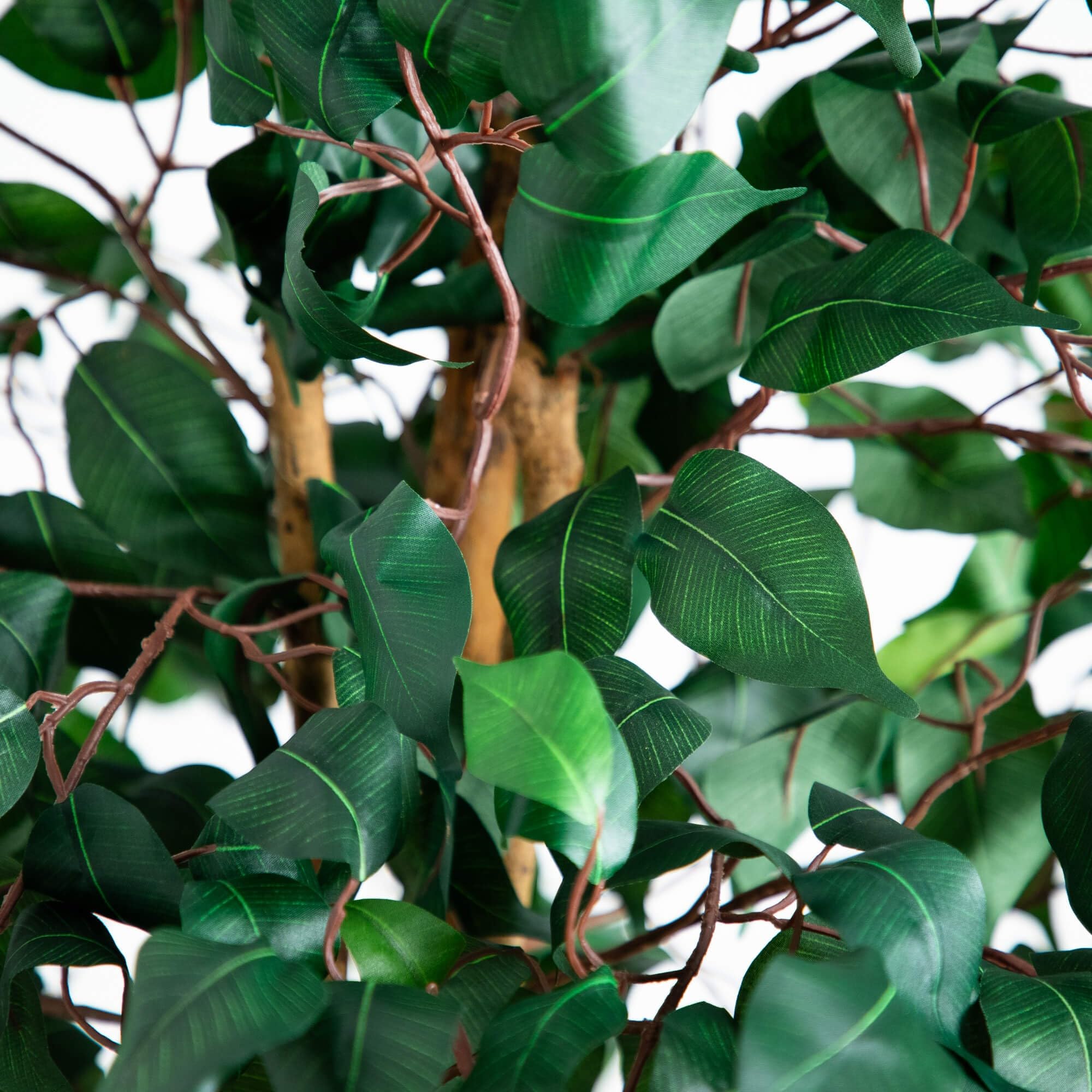 Nearly Natural ficus beside sofa illustrating height and scale for room balance