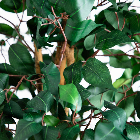 Nearly Natural ficus beside sofa illustrating height and scale for room balance